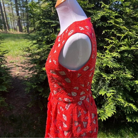 Lela Rose Silk embroidered beaded sleeveless midi dress Sz 6 - Picture 8 of 12